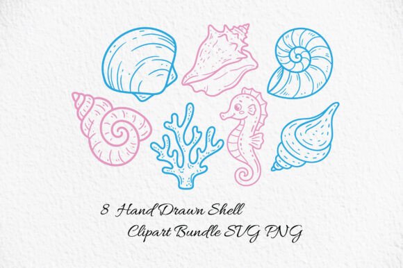 Elevating Coastal Design: The Strategic Value of Hand Drawn Shell Clipart SVG PNG